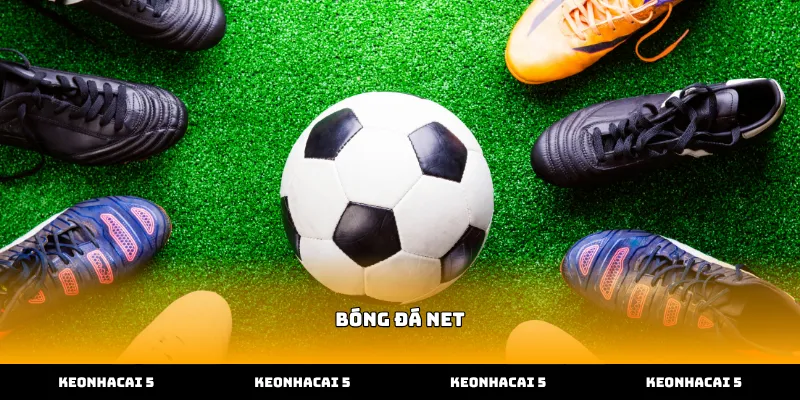 Cập nhật dữ liệu bóng đá net nhanh chóng tại trang chủ