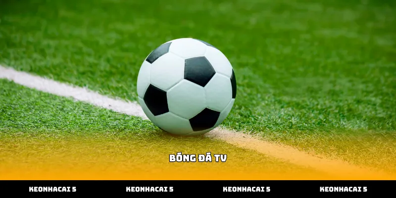 Dịch vụ bóng đá tv cập nhật dữ liệu trận đấu liên tục