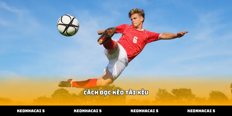 Giải mã thuật toán chi tiết trong cách đọc kèo tài xỉu