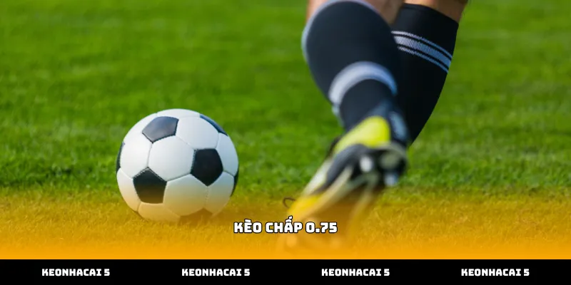 Kinh nghiệm soi kèo chấp 0.75 hiệu quả cho người chơi