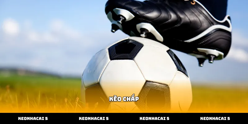 Cách xem tỷ lệ kèo chấp bóng đá tại nhà cái