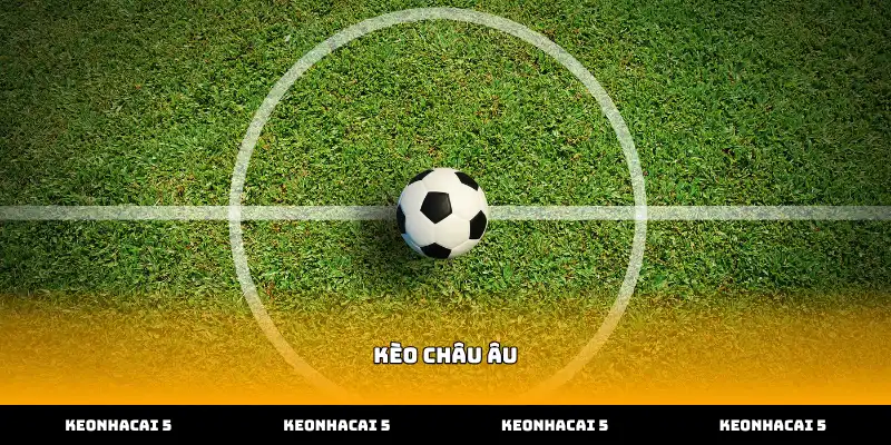 Chuyên gia hướng dẫn đọc ký hiệu kèo châu âu trên bảng cược