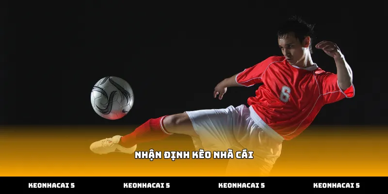 Cách khai thác dữ liệu nhận định kèo nhà cái hiệu quả