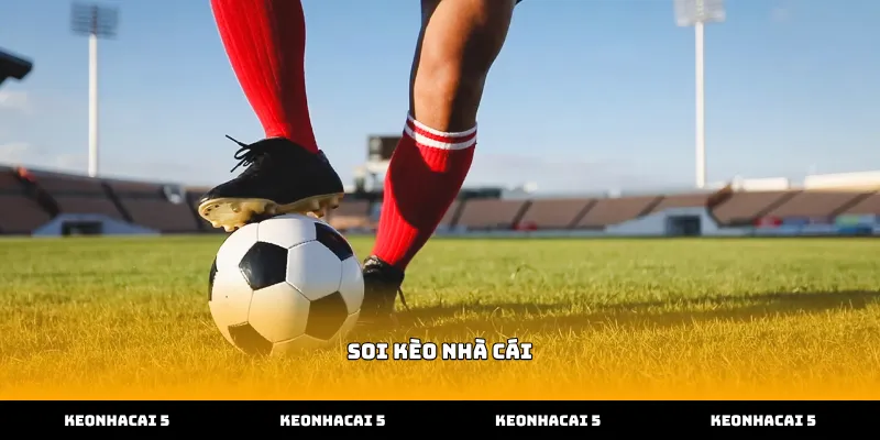 Cách thức vận hành bảng tỷ lệ soi kèo nhà cái tại sân chơi