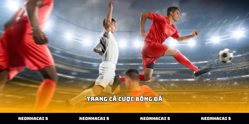 Tỷ lệ thưởng hấp dẫn tại trang cá cược bóng đá trực tuyến